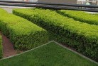 Mowbray QLDcommercial-landscaping-1.jpg; ?>